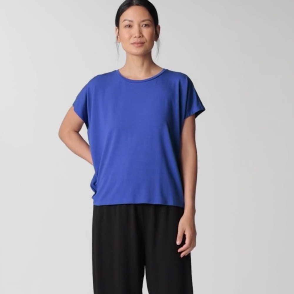 Eileen Fisher 100% Organic Linen Tee Top~ SizeLP